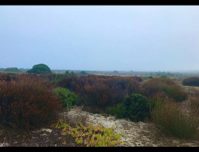 1,451HA VACANT LAND FOR SALE IN YZERFONTEIN RURAL